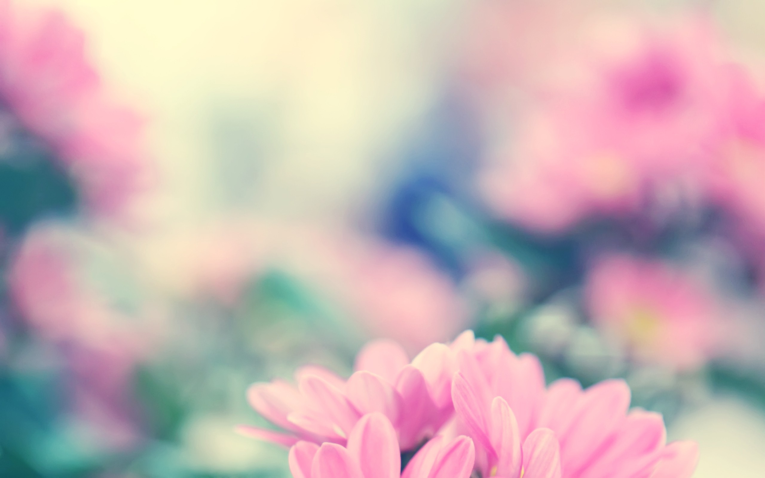 Spring Flowers Background HD