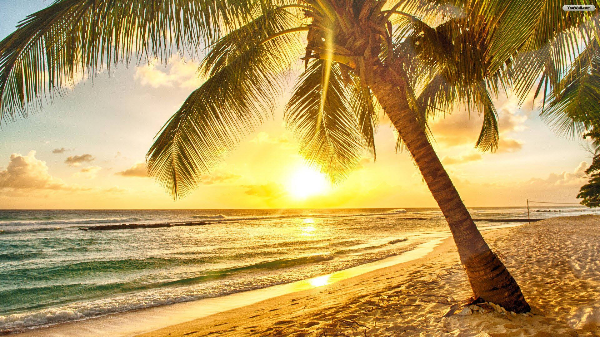 Download Tropical Beach Sunrise Wallpaper