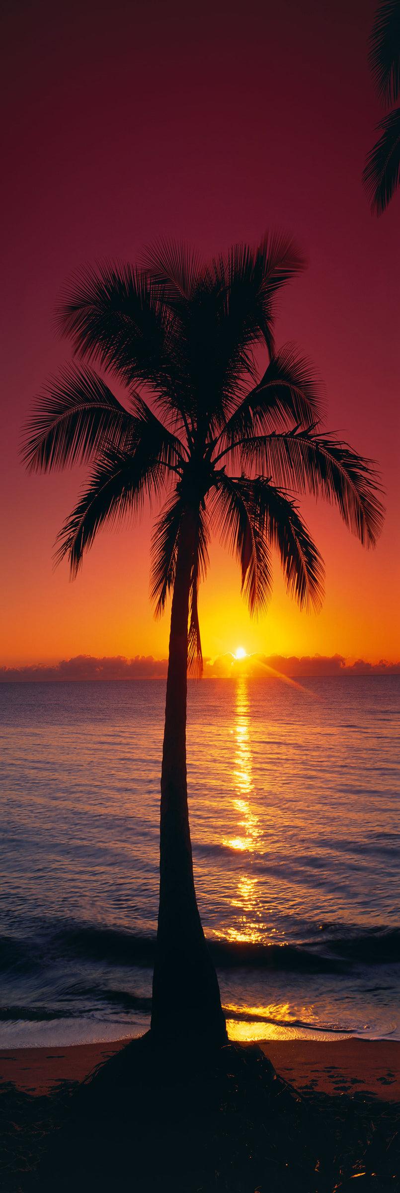 Tropical Sunrise. Fine Art Photograph