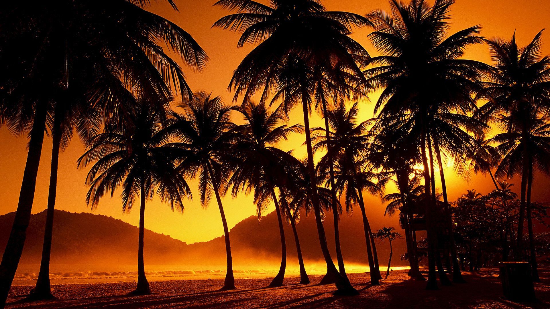 Tropical Sunset Wallpaper Free Tropical Sunset Background