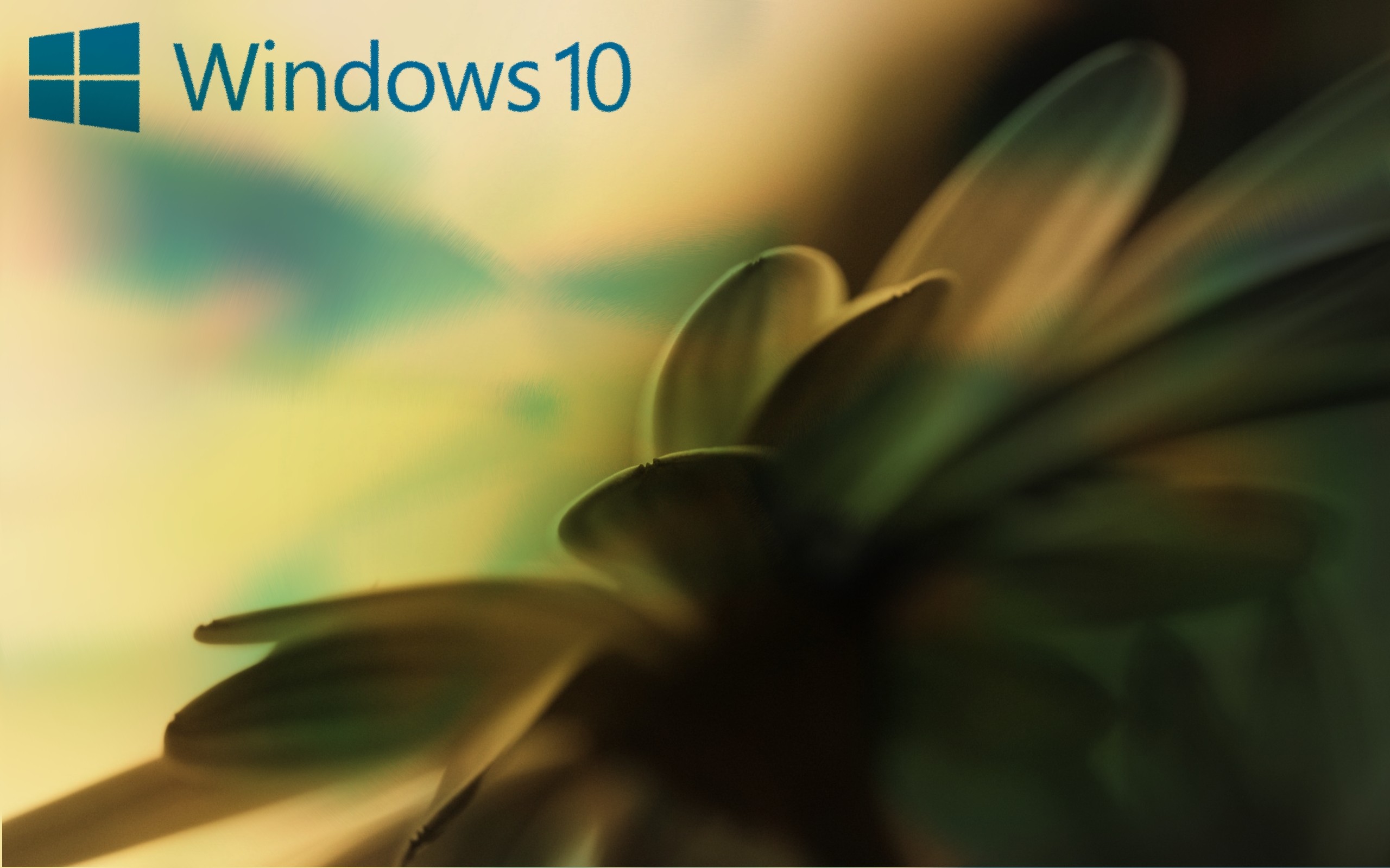 Ms Dos Window Windows Vista Windows Xp Microsoft Windows Windows 10 (2022)