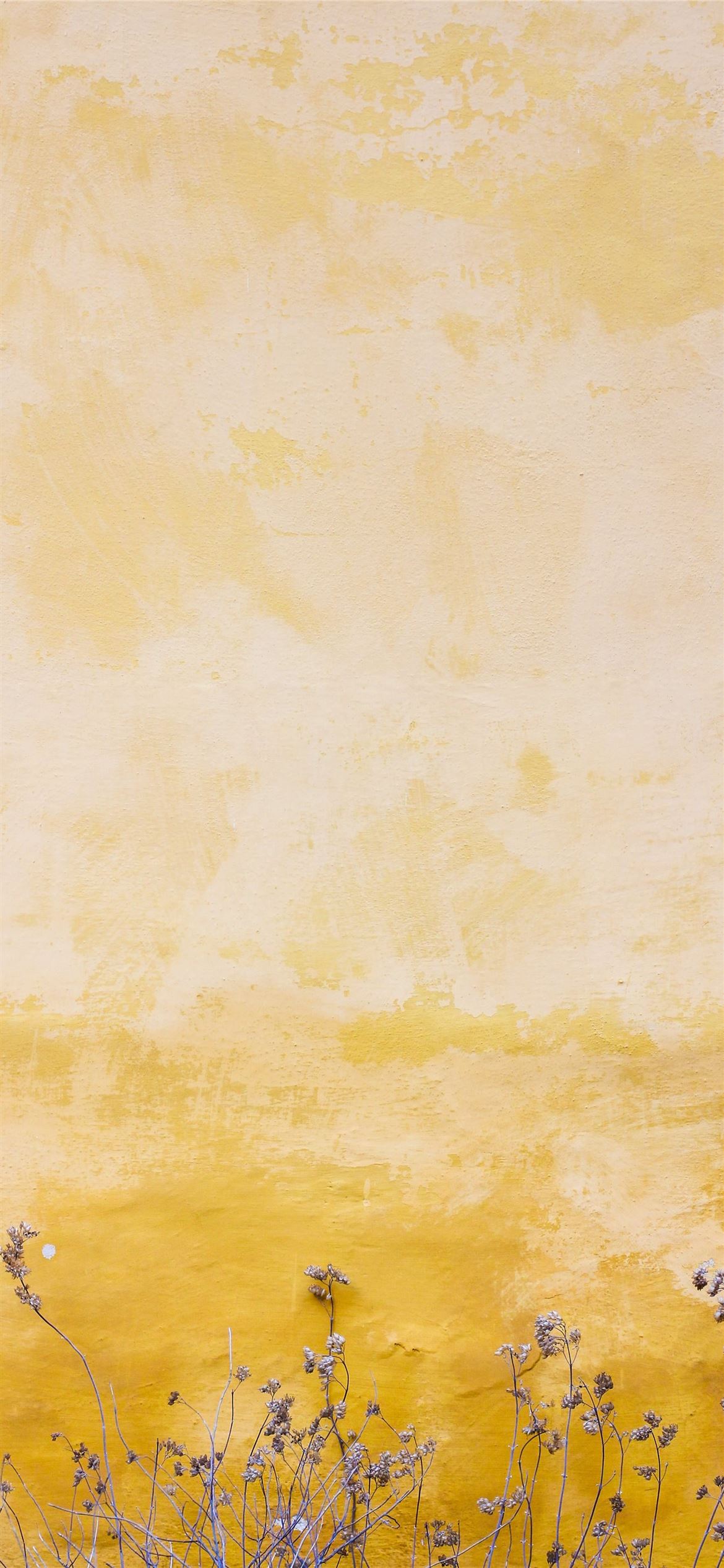 Best Yellow iPhone 12 HD Wallpaper