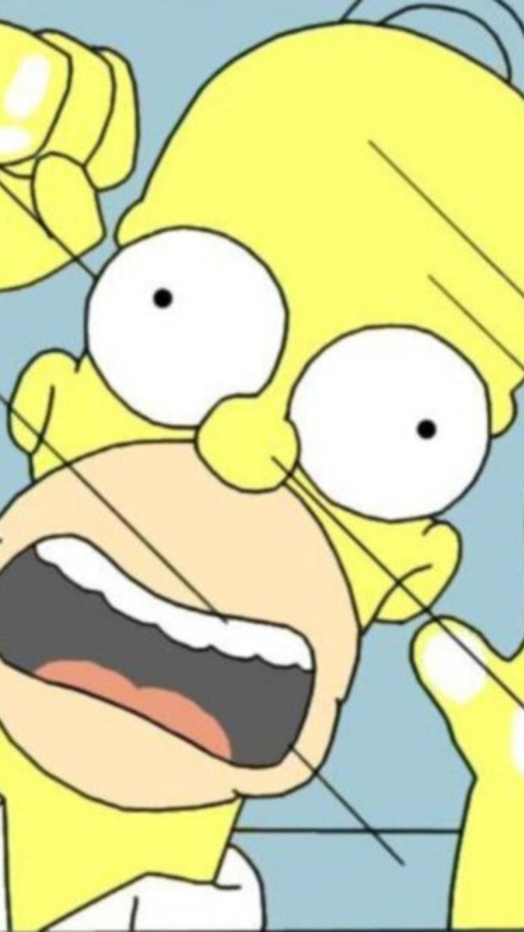 Humor funny homer simpson the simpsons wallpaper