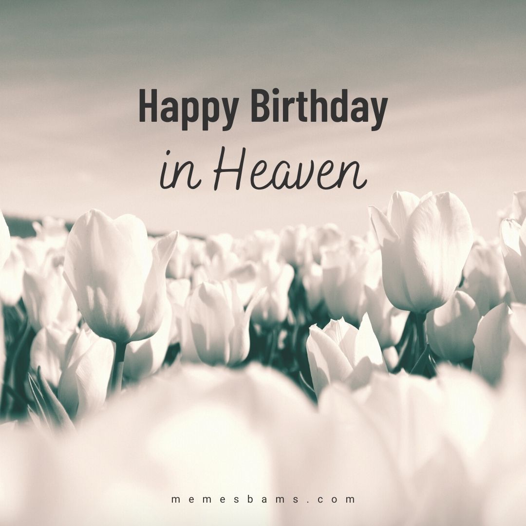 Happy Birthday Quotes and Image to Someone in Heaven