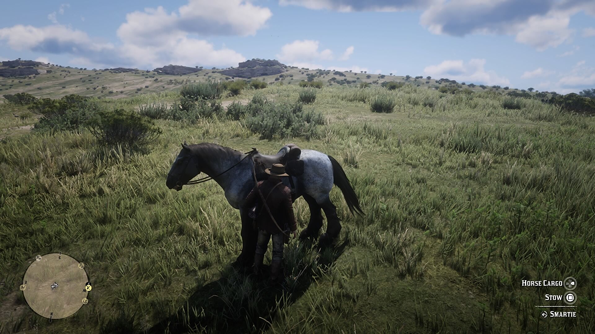 Red Dead Redemption 2 to change your horse