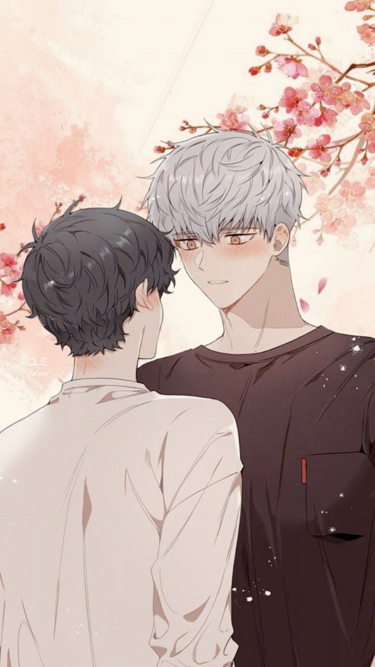 Taesung x Haebom Aesthetic wallpaper Cherry blossoms after winter. Cherry blossom, Anime wallpaper iphone, Anime