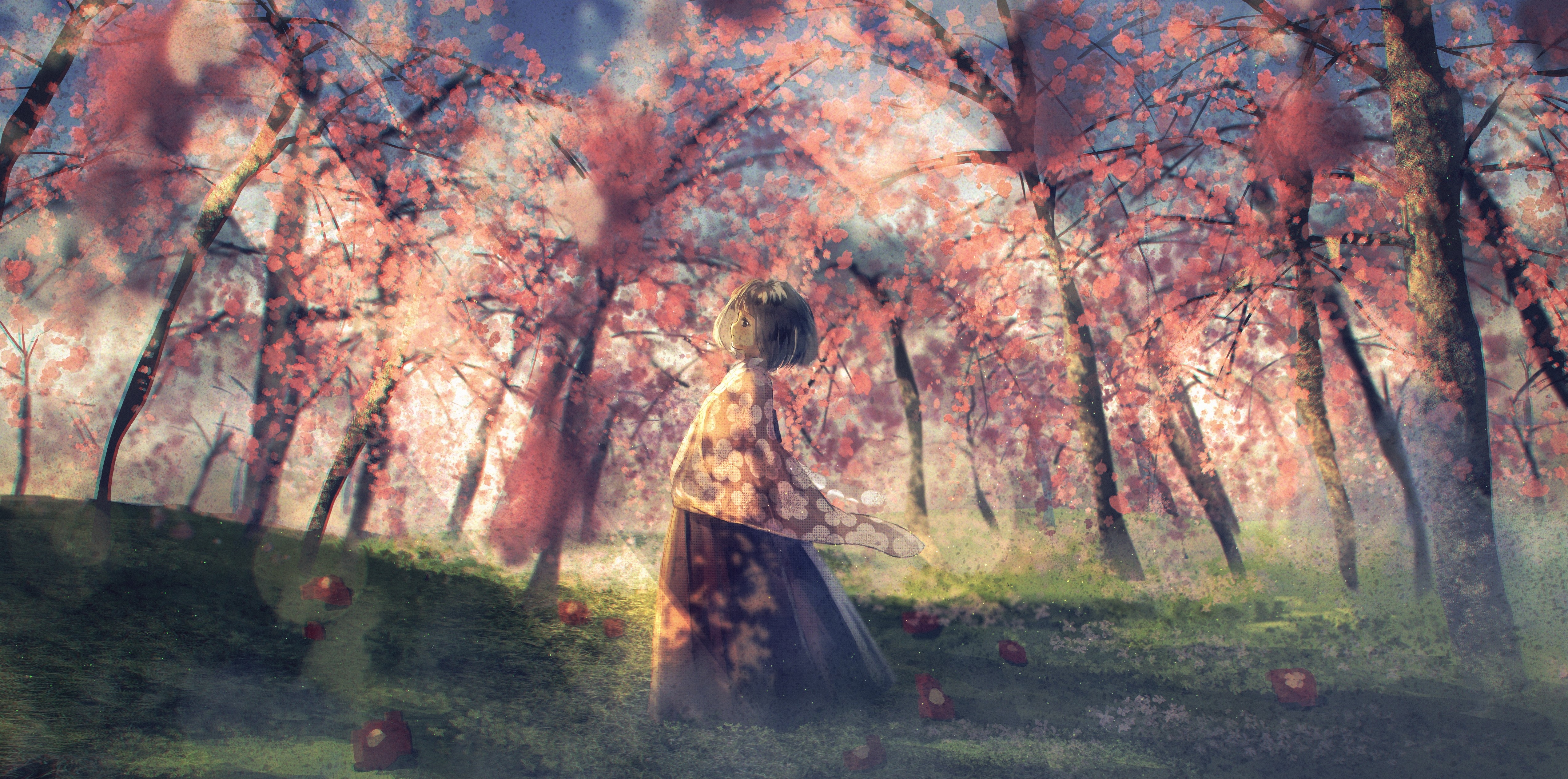 Download 1280x720 Anime Girl, Anime Landscape, Forest, Scenery, Sakura Blossom, Trees Wallpaper