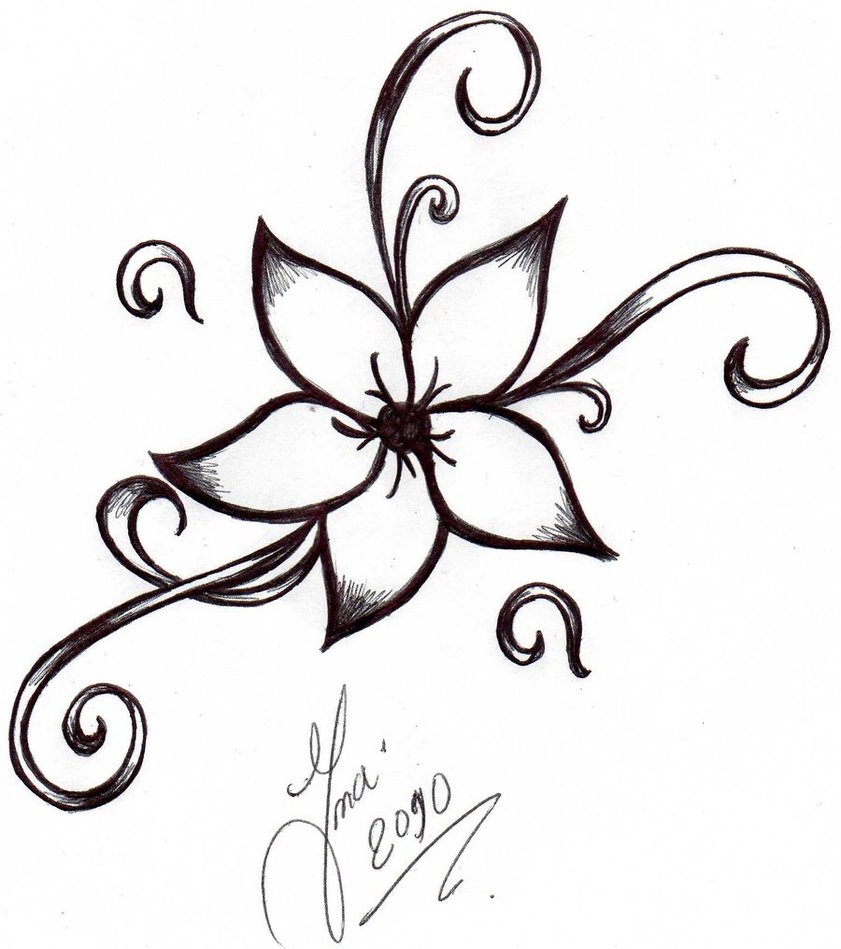 Single hand drawn white lily flower, top view, sketch style vector • wall  stickers topview, beatiful, realistic | myloview.com