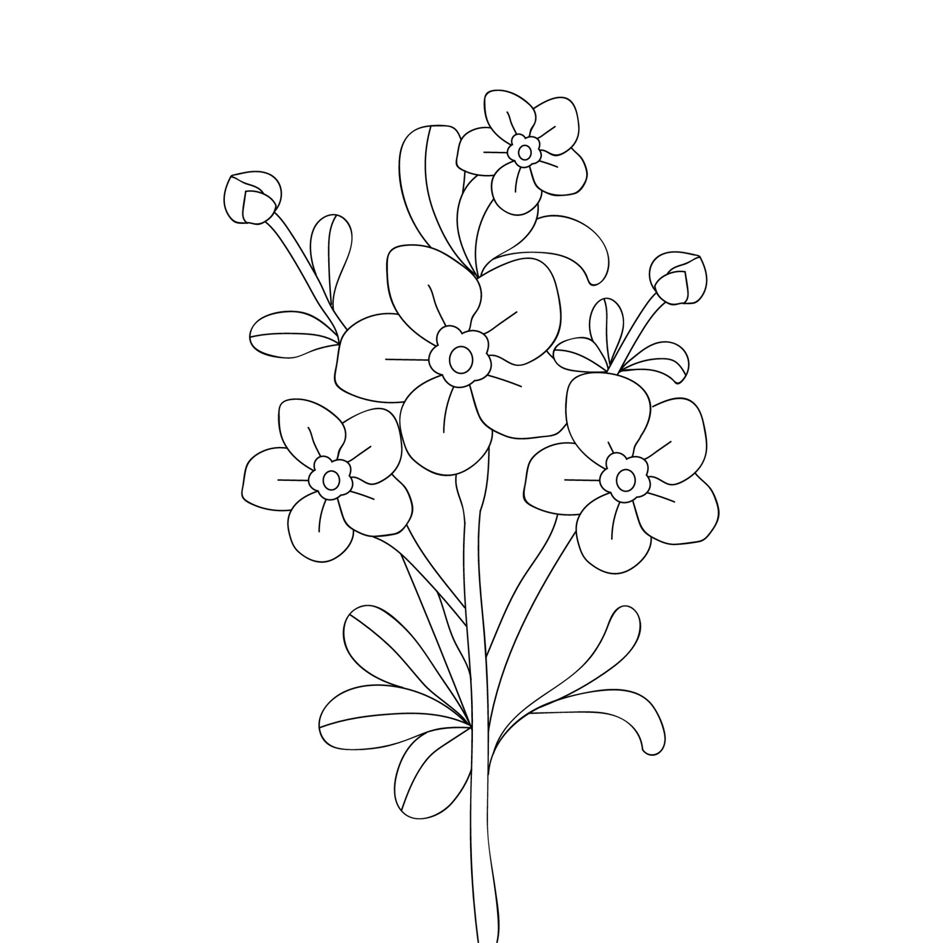 natural flower contour drawing outline blossom petals with leaves illustration