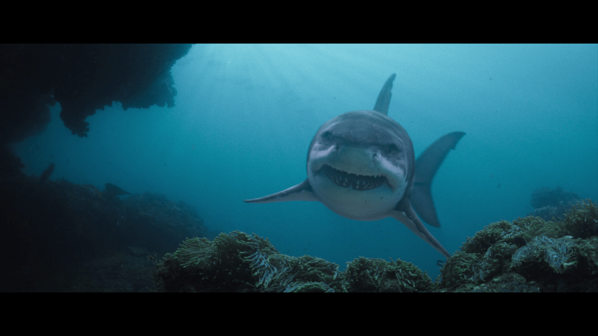 Deep Blue Sea 3 Blu Ray Review