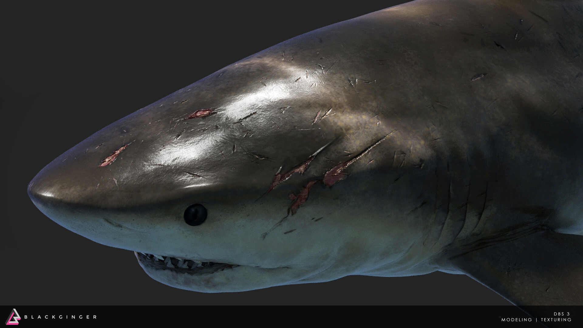 Deep Blue Sea 3 Wallpapers Wallpaper Cave
