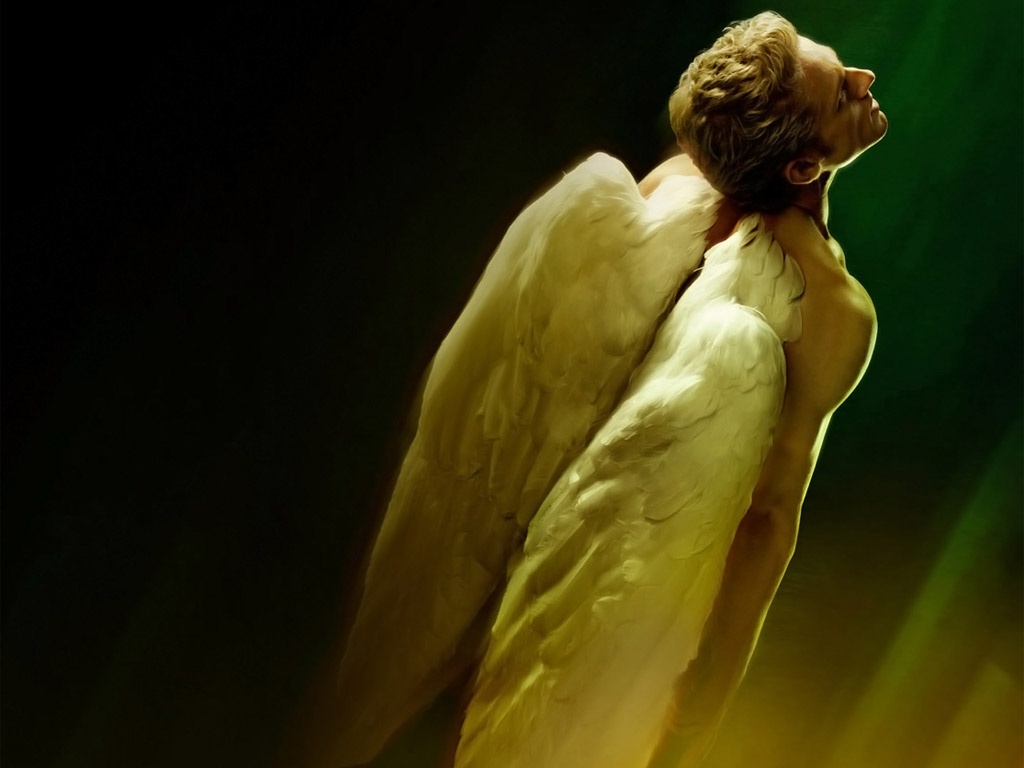 Angel / Warren Worthington III Wallpaper Men Wallpaper