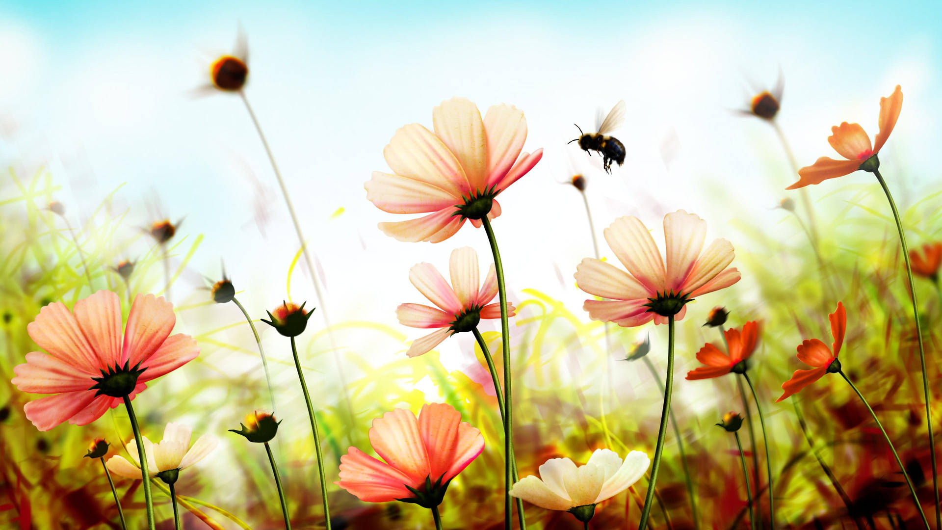 Download Spring Flowers Digital Art Wallpaper