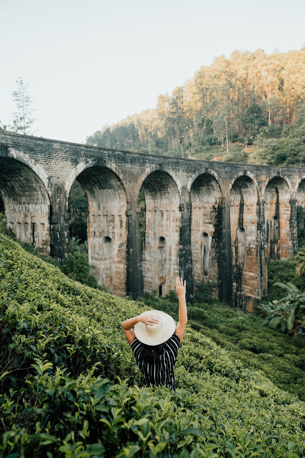 Ella Sri Lanka Picture. Download Free Image