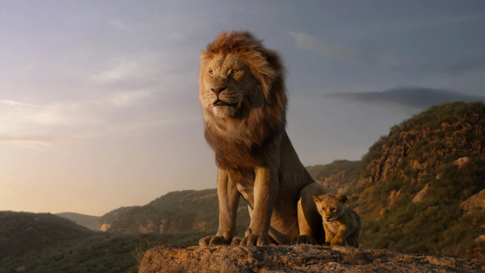 Mufasa The Lion King Disney Wallpapers Wallpaper Cave