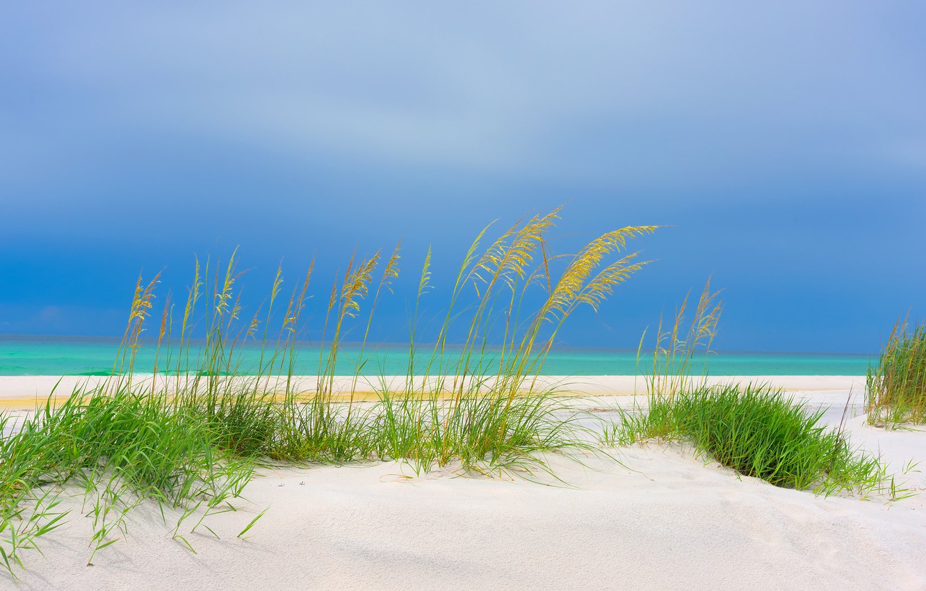 Wallpaper USA, Florida, Gulf of Mexico Beach image for desktop, section пейзажи