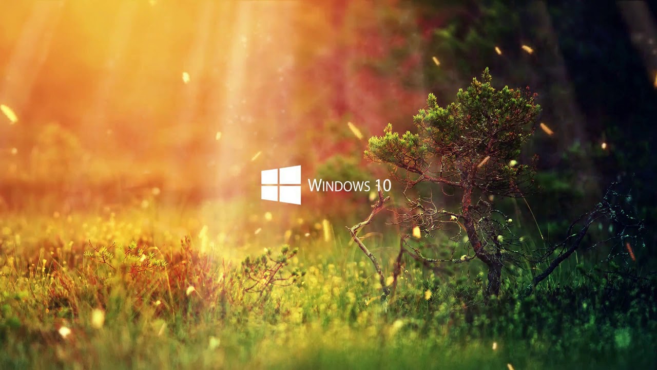 Live Wallpaper] Windows 10 Nature Live Wallpaper [4K]