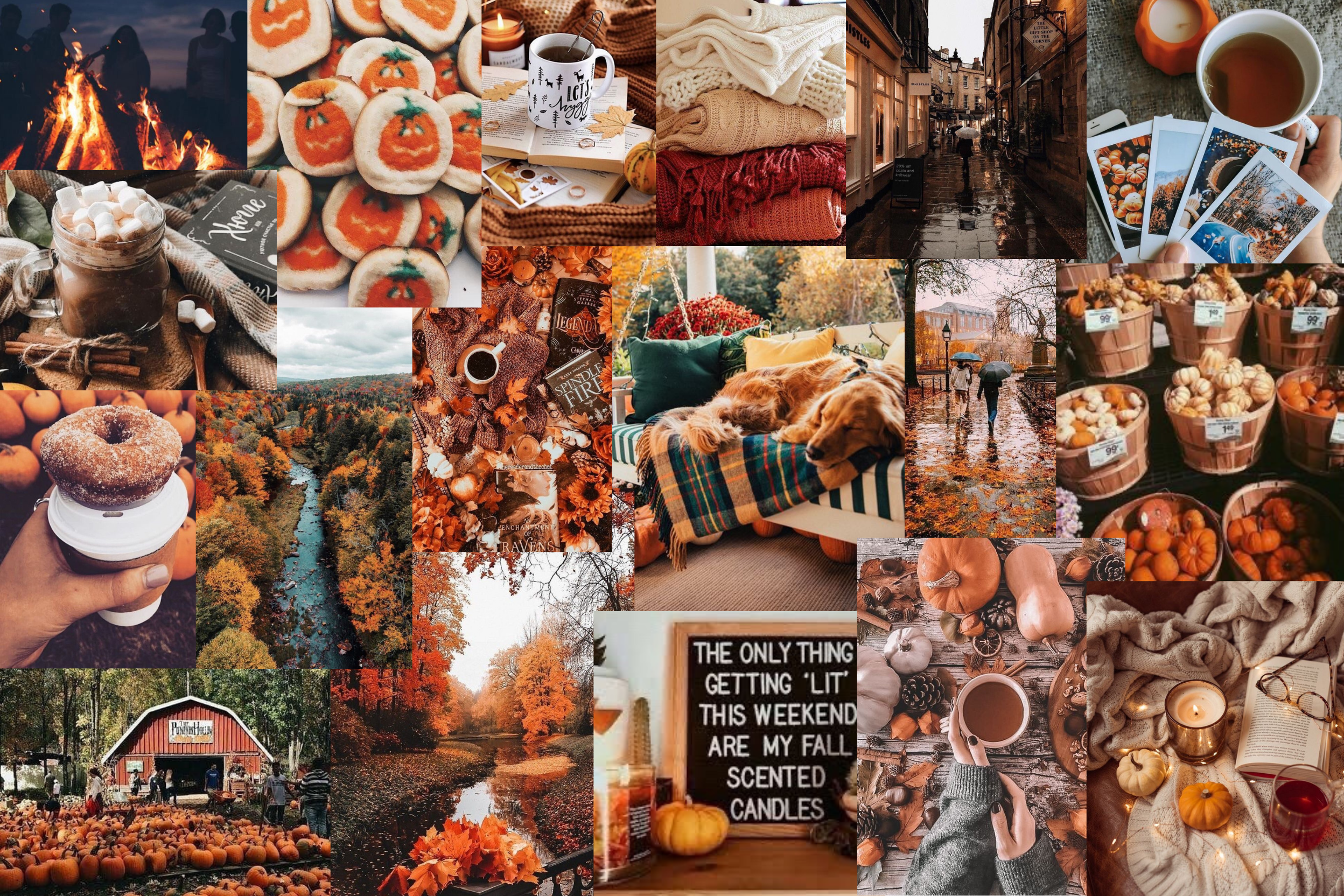 Fall vibes Collage Wallpaper. Cute laptop wallpaper, Desktop wallpaper fall, Halloween desktop wallpaper