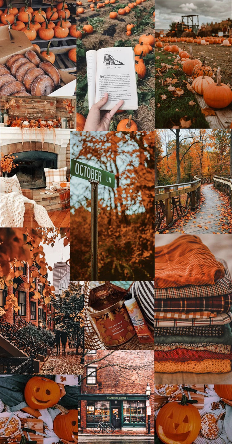 Autumn Collage Wallpaper, Autumn in the city