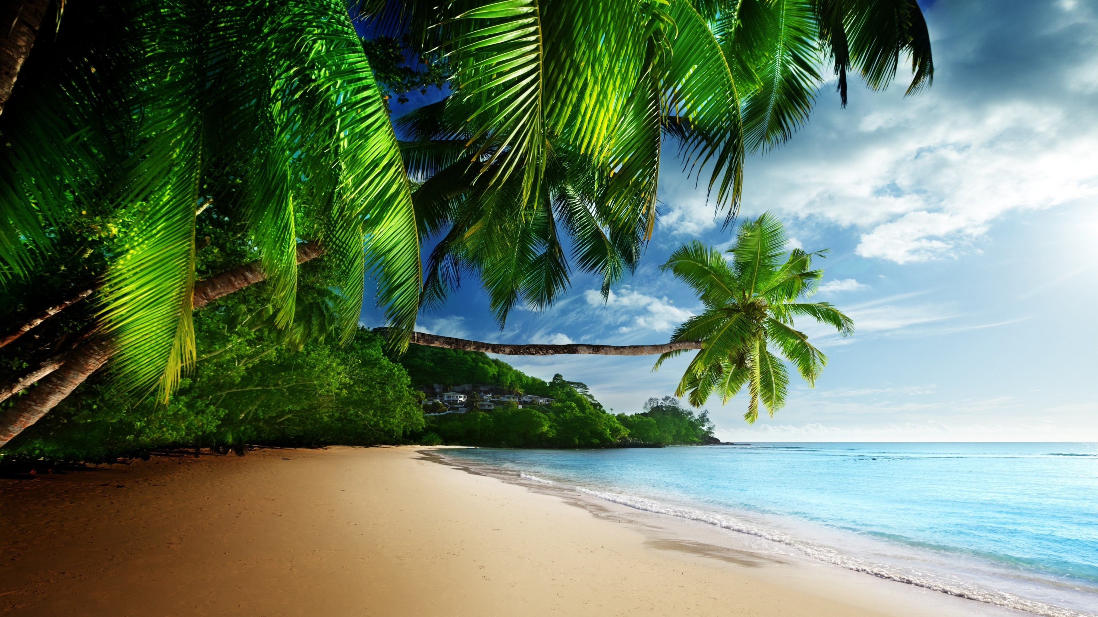 Tropical Beach 4k Wallpapers Wallpaper Cave