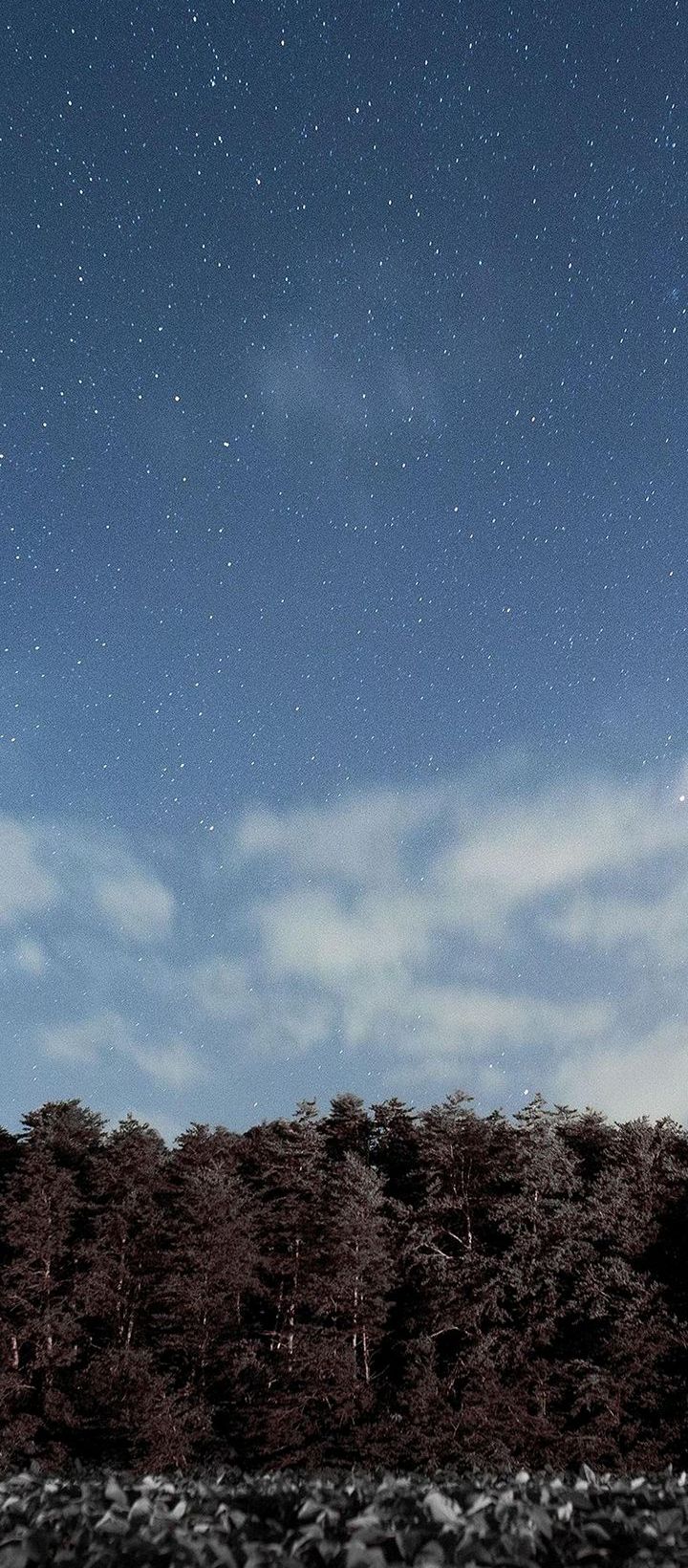 Phone Wallpaper