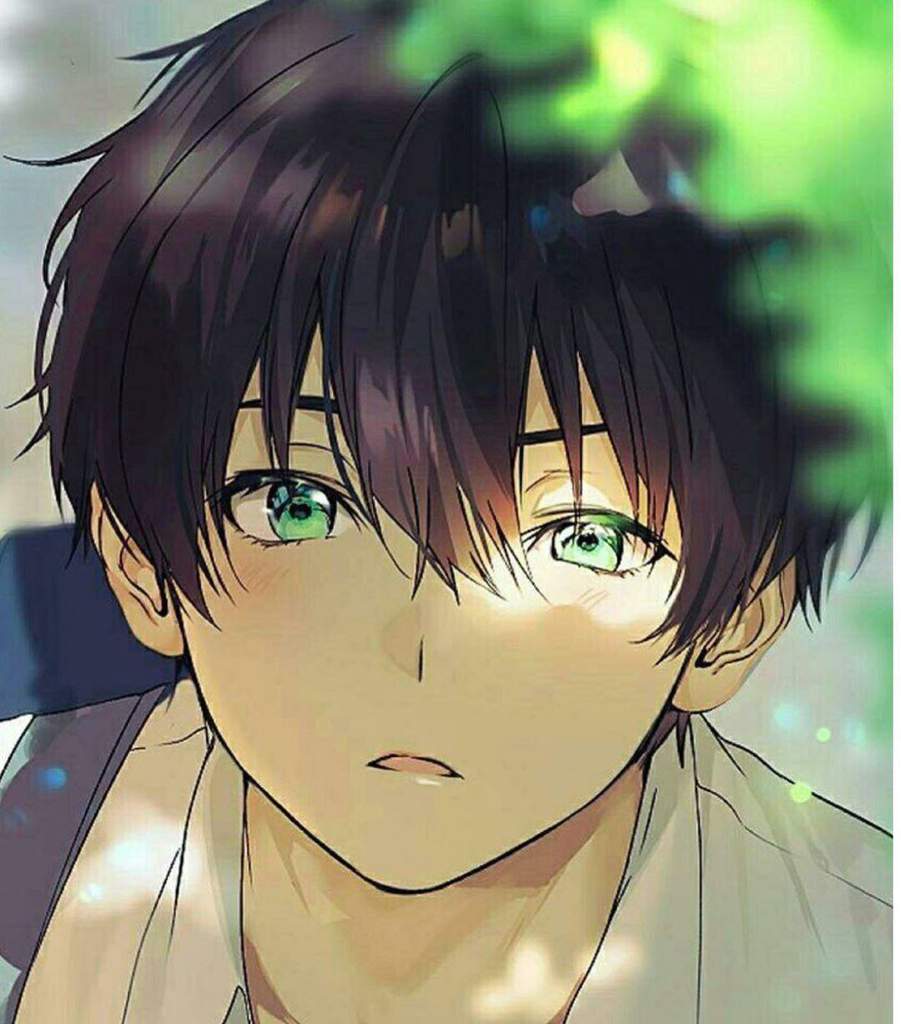 Oreki Houtarou. Wiki