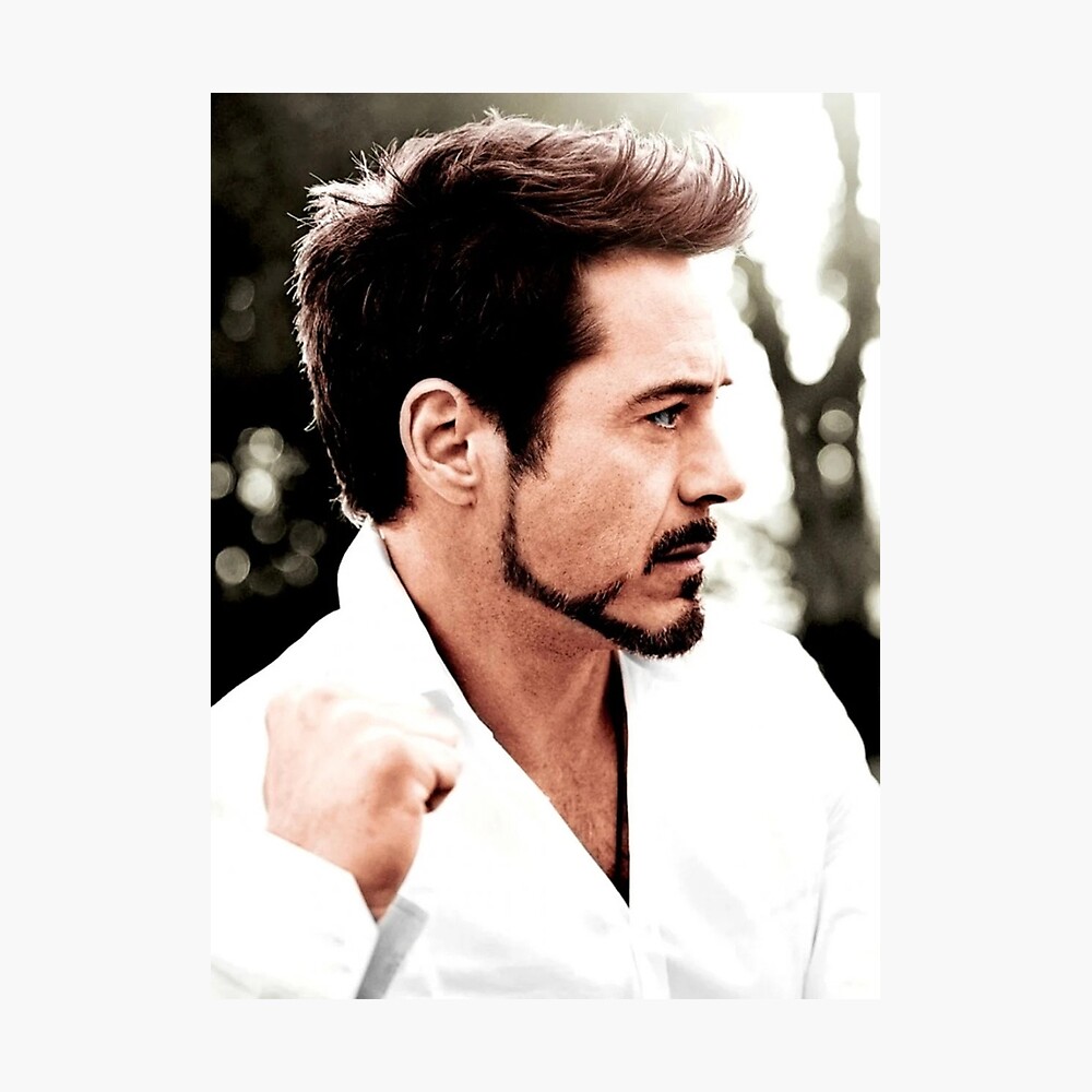Robert Downey Jr Art Poster