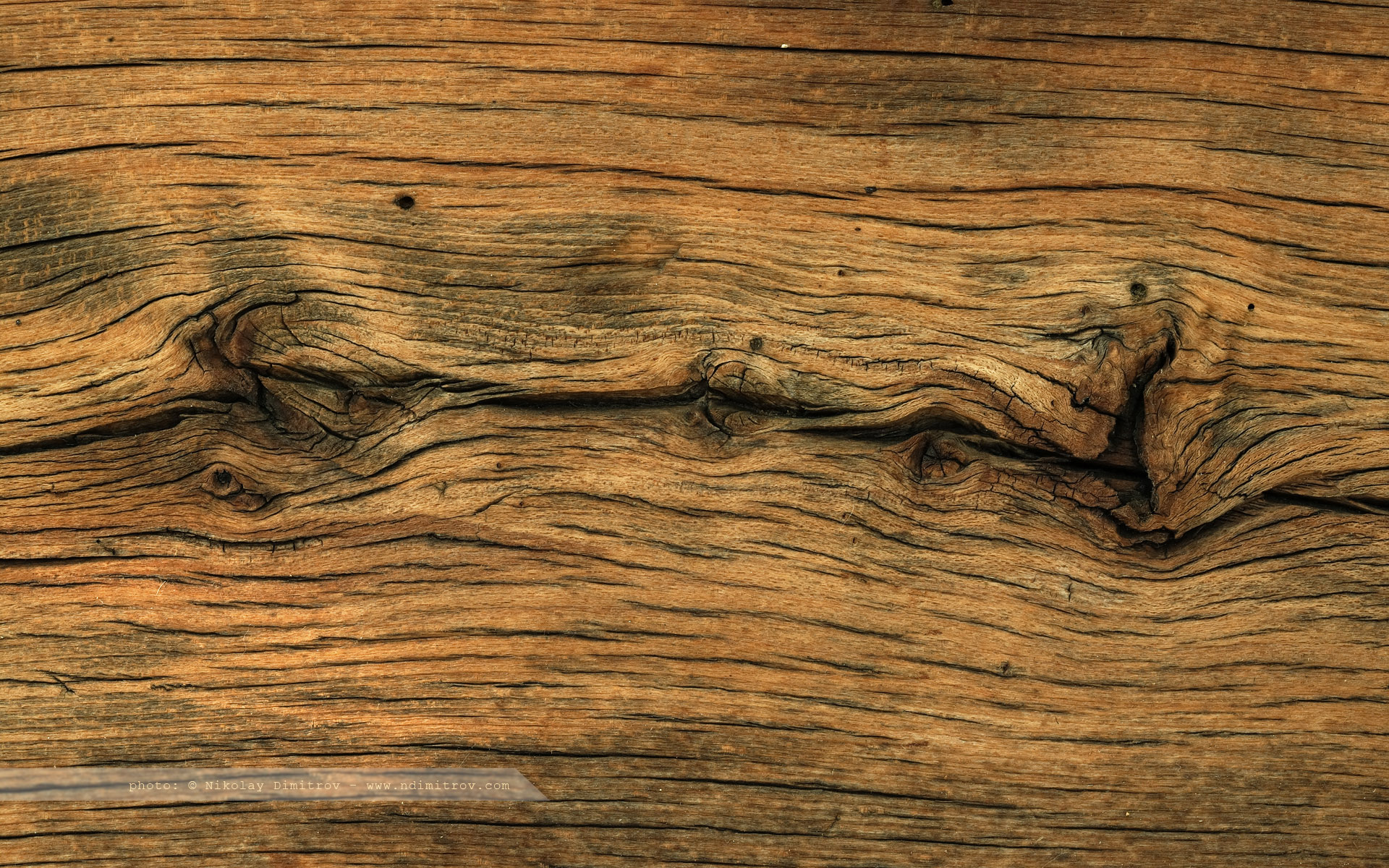 HD Wood Wallpaper For Free Download