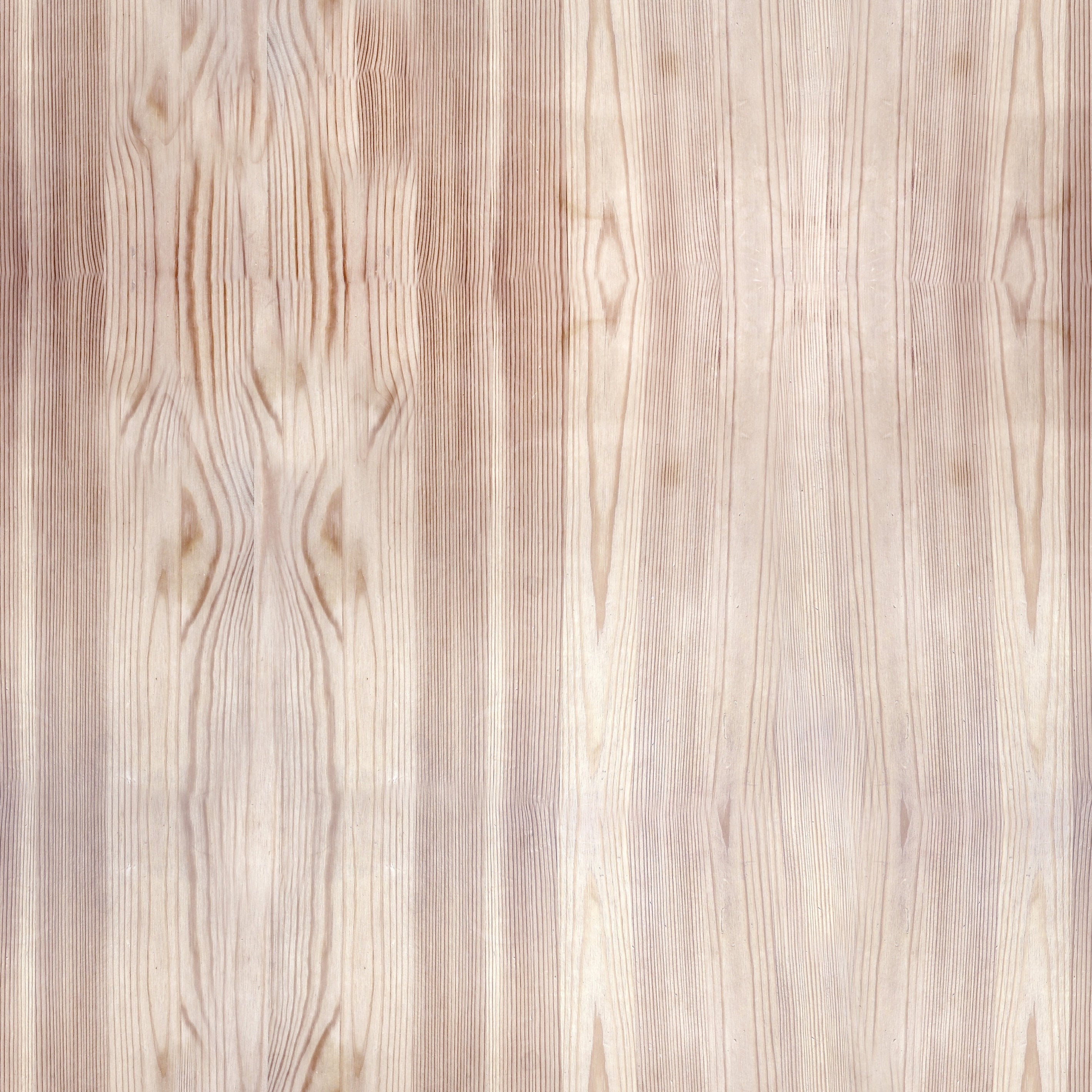 Oak Wood Wallpaper