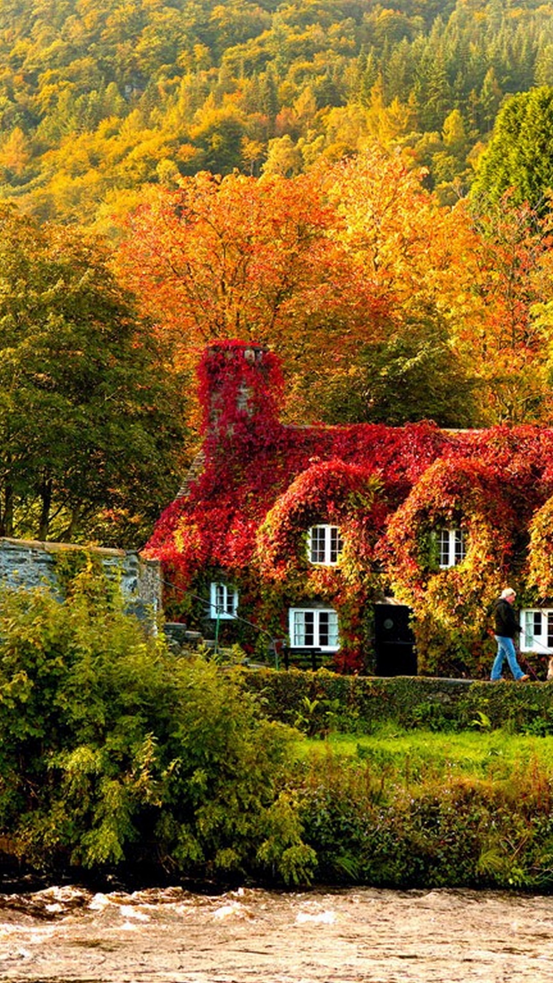 Fall Cell Phones Wallpaper Phone Wallpaper HD