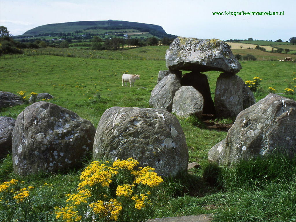 Stone Circle and Dolmen Background Wallpaper