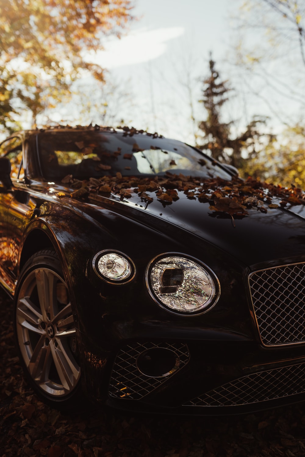 Bentley Continental Gt Picture. Download Free Image