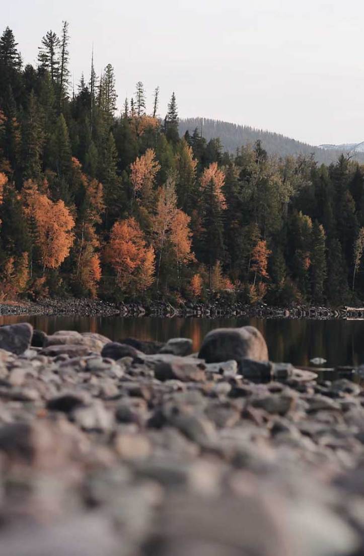 Autumn aesthetic landscape Wallpaper
