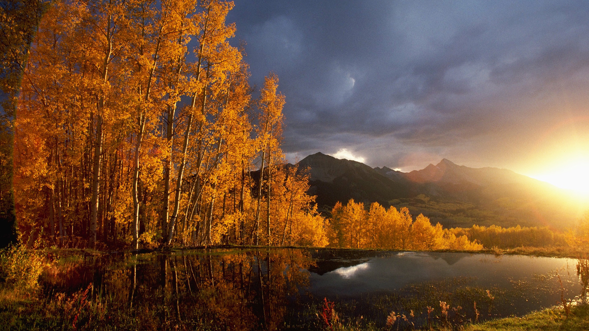 Autumn Wallpaper for Desktop