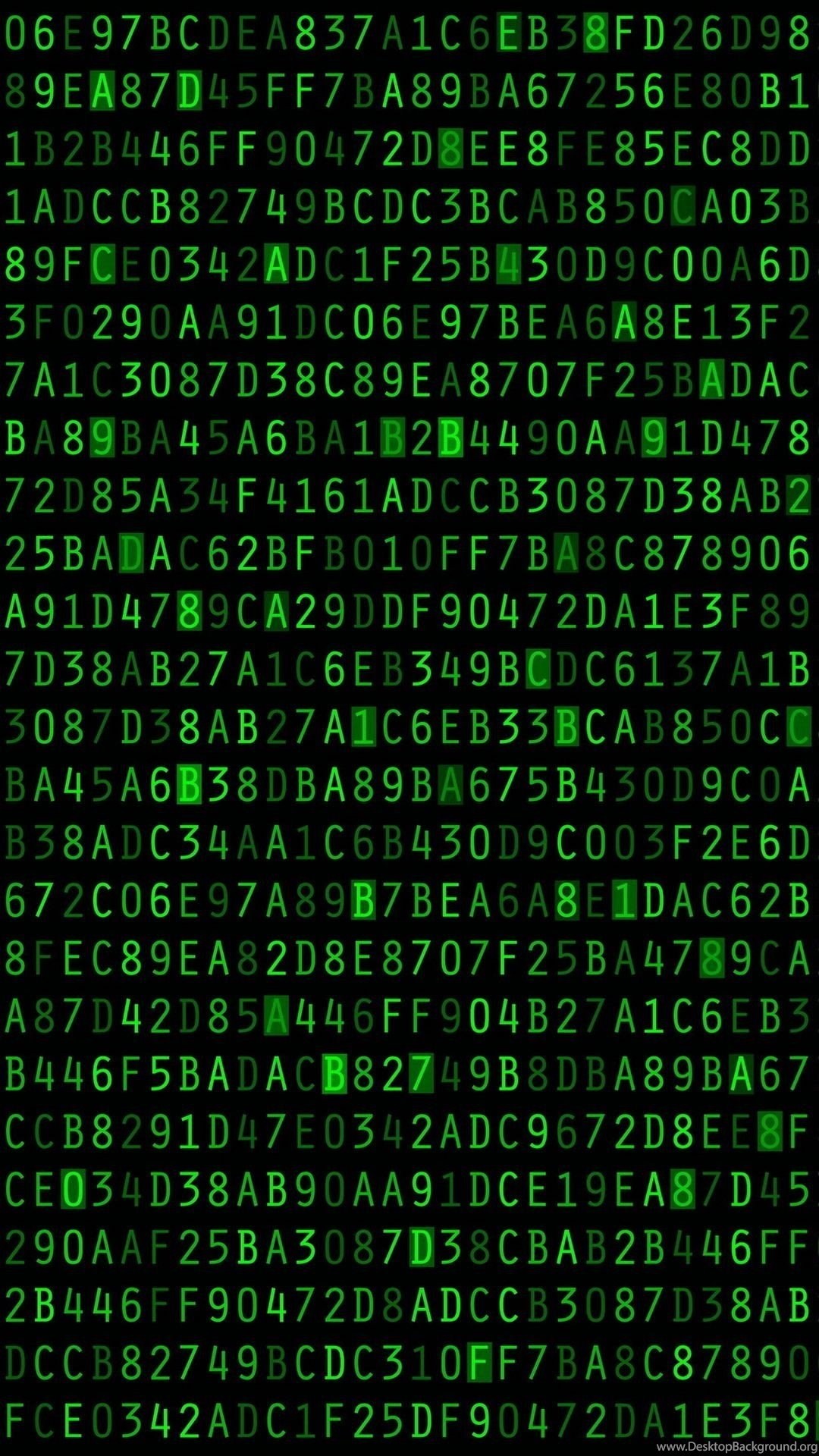 Matrix Binary Code Falling Wallpaper