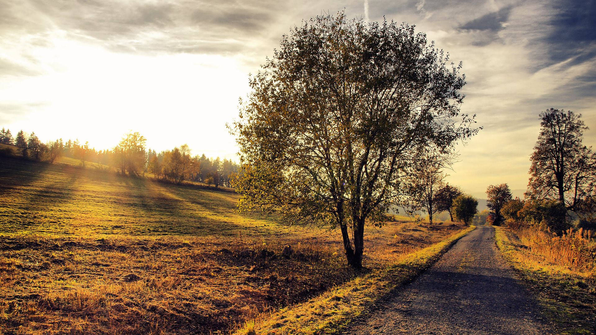 Download Country Road Hill Sunlight Wallpaper