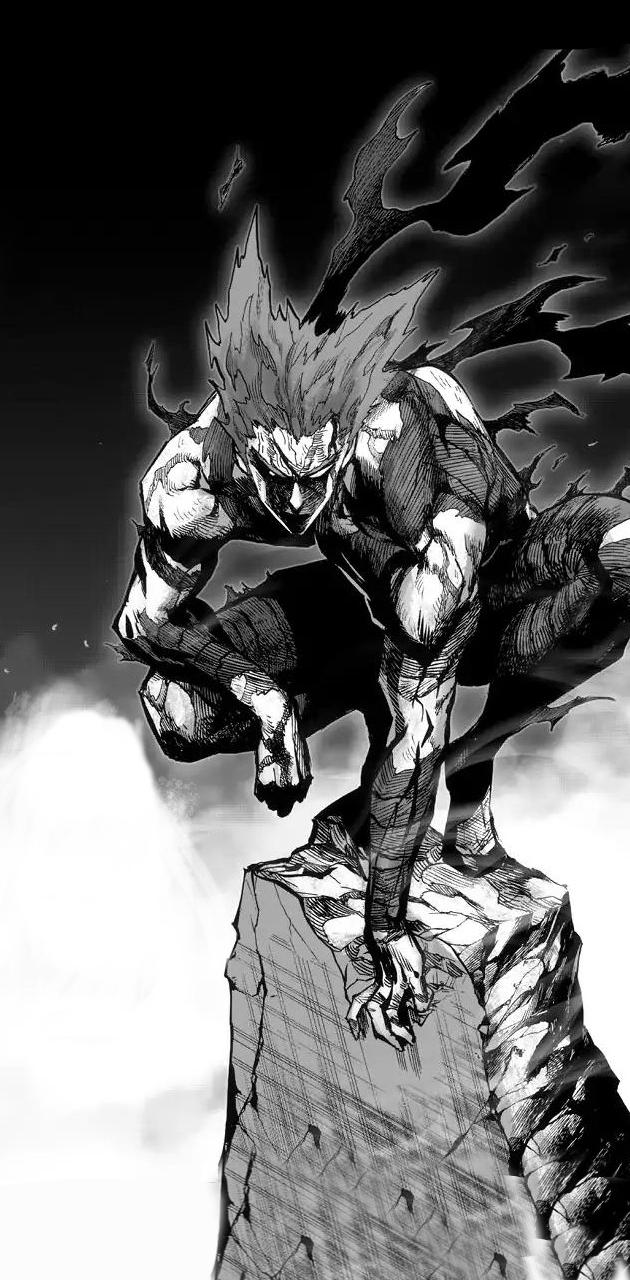 Anyone like web comic monster garou design over the new manga design ? :  r/OnePunchMan