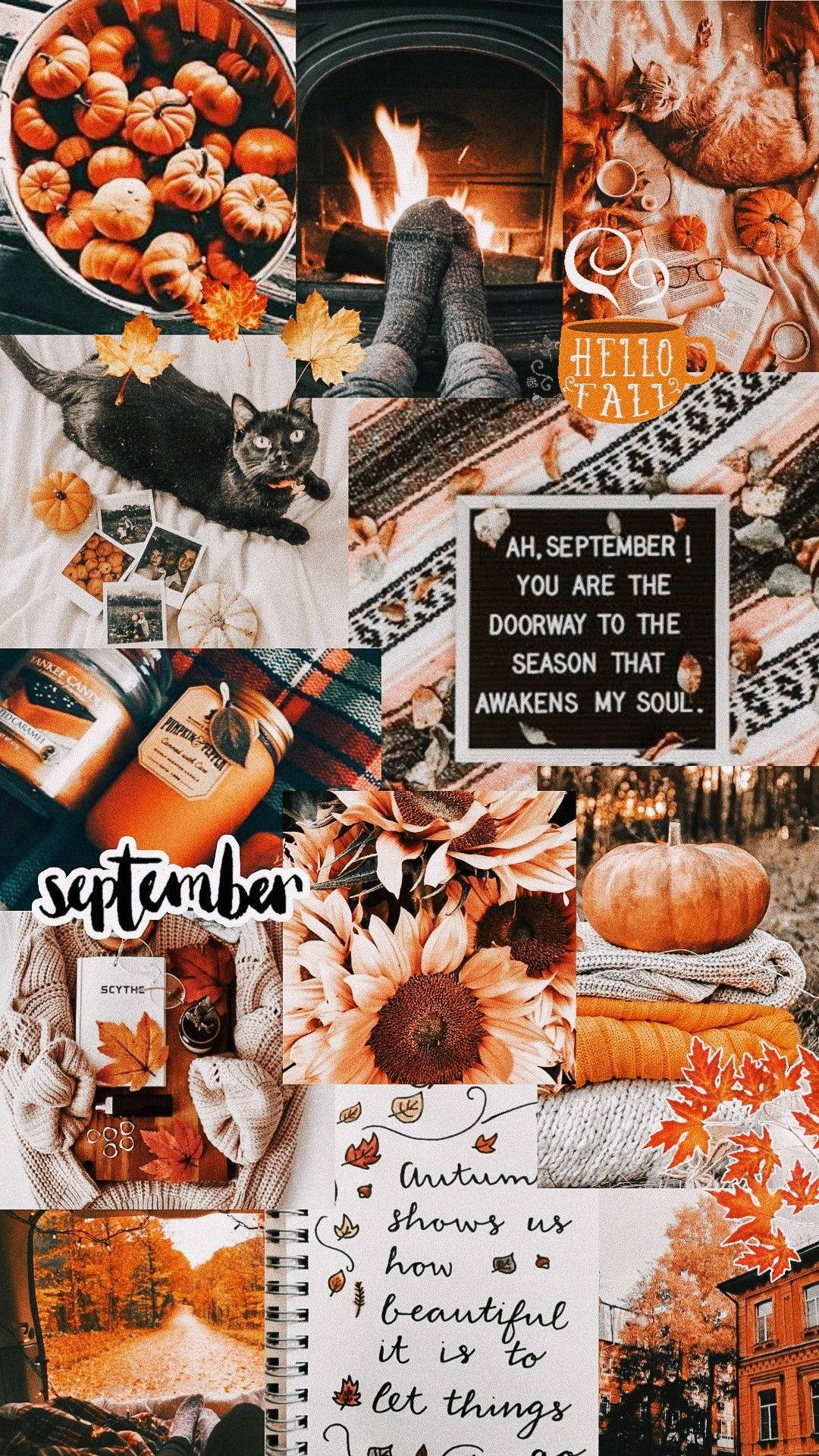 Download Aesthetic Orange Fall iPhone Collage Wallpaper