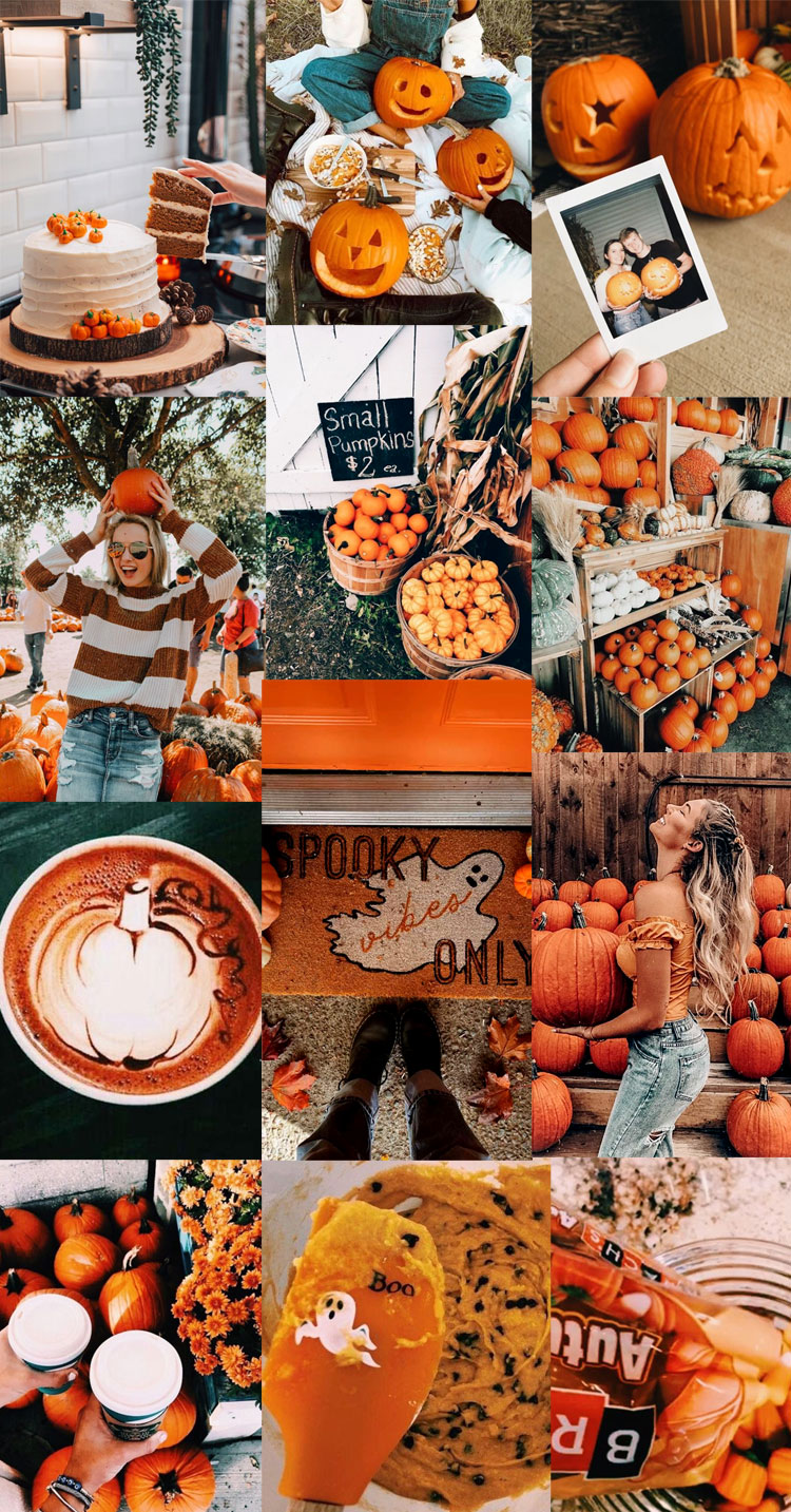 Autumn Collage Wallpaper, Pumpkin Craves