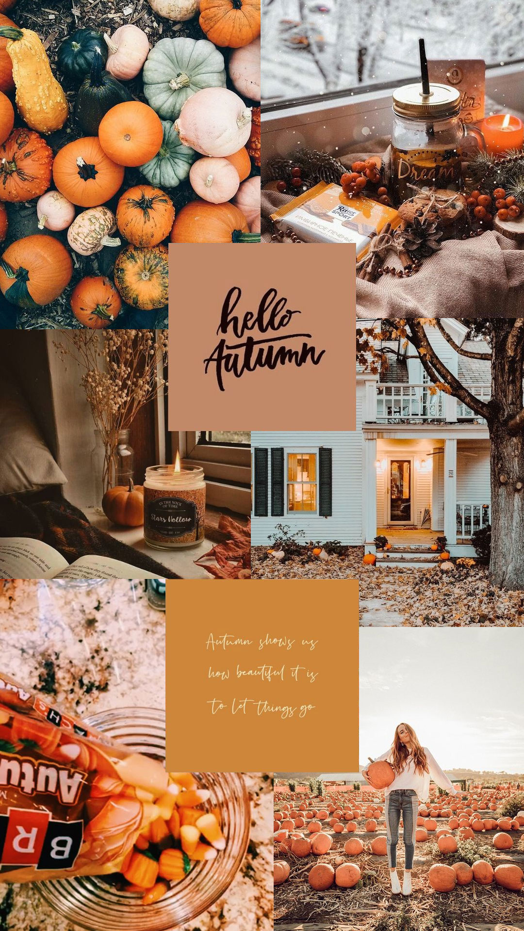 Autumn Collage Wallpaper, Pretty Fall Collage for Phone Wallpaper