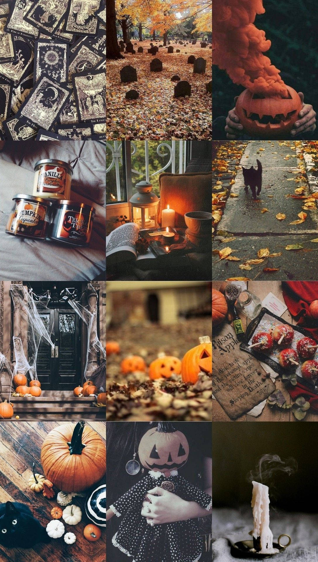 Download Witchy Aesthetic Halloween Wallpaper