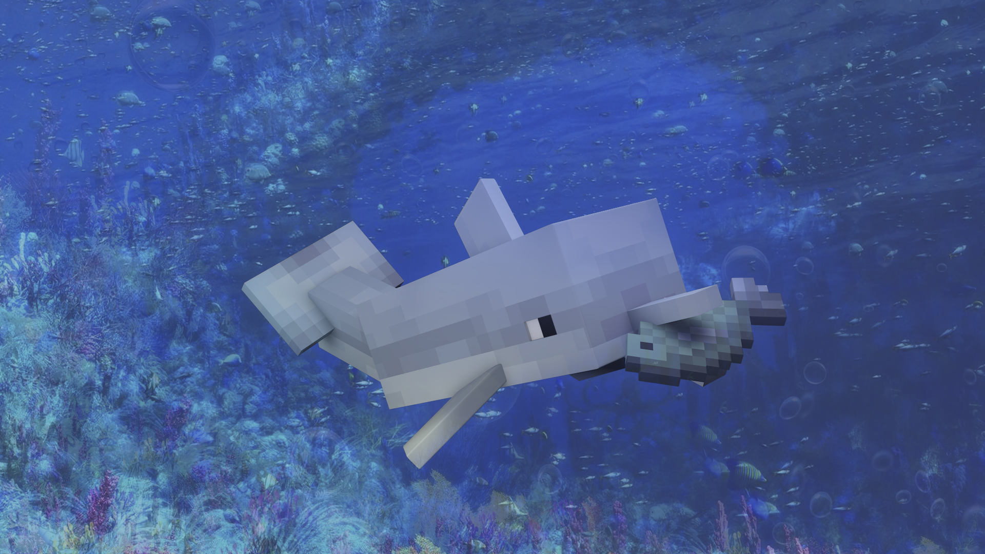 Dolphin Minecraft Water Wallpaper:1920x1080