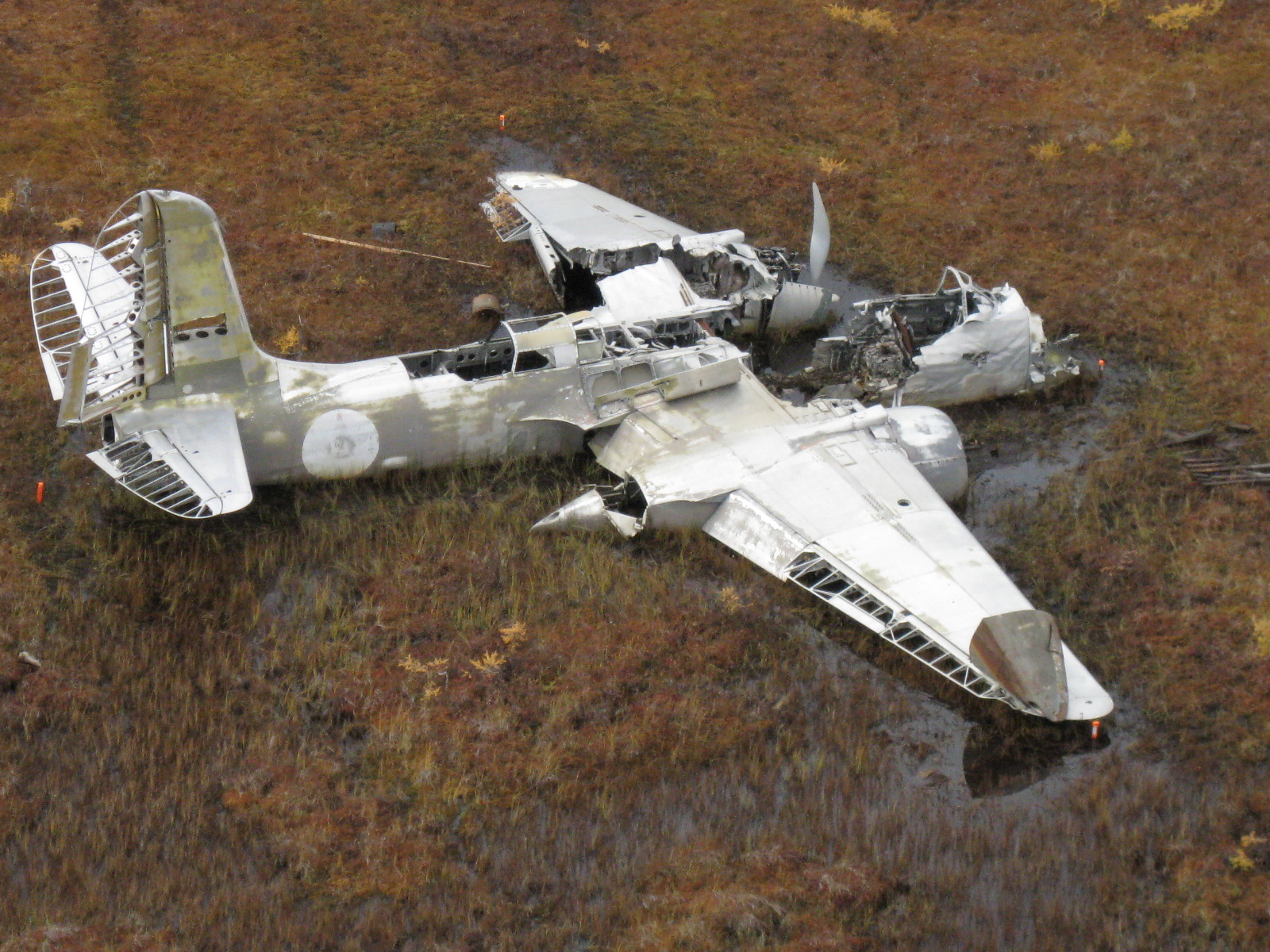 Douglas A 20 Havoc Unlimited, Inc