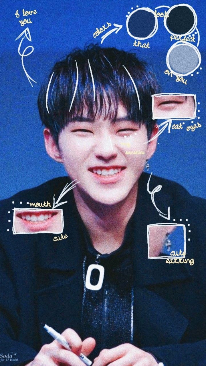 Hoshi edit anatomy. Hoshi, Seventeen, Aesthetic wallpaper