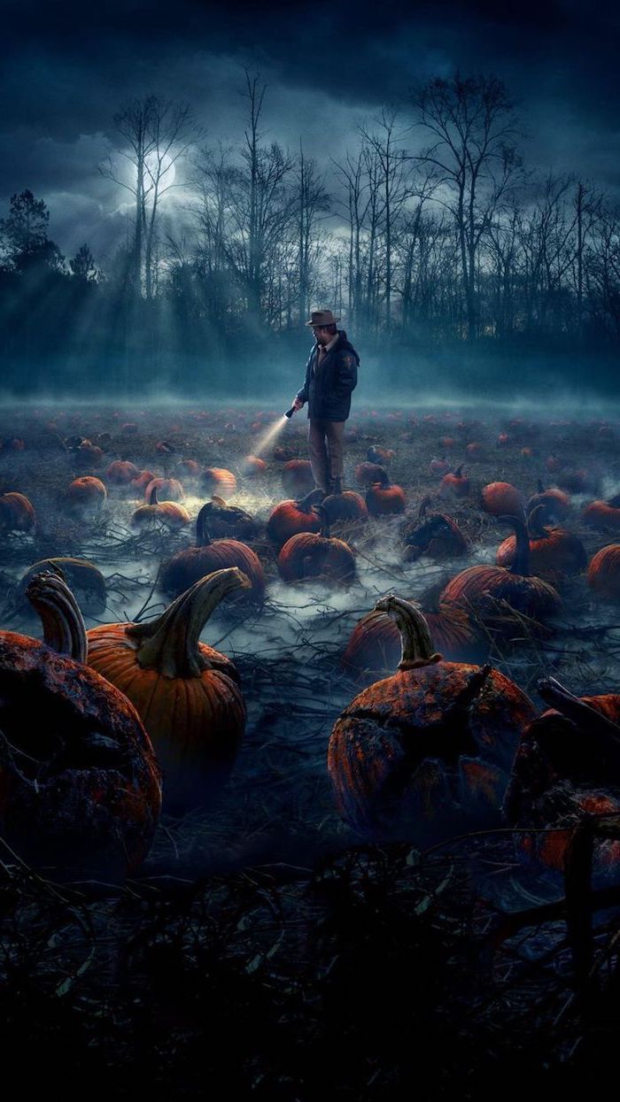 Jim Hopper Standing In The Middle Of Pumpkin Patch Field Cute Stranger Things Wallpaper Datk Aesthetic. Stranger Things, Stranger, Stranger Things Wallpaper