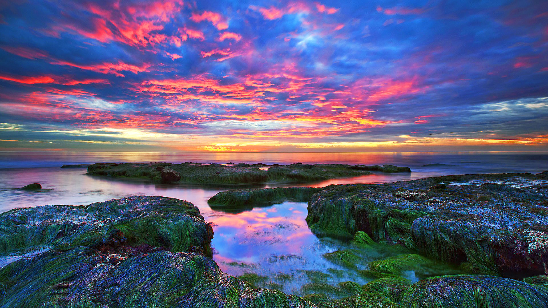 Beach Green Moss Sunset Evening Colorful HD Wall For Your XFCE Desktop