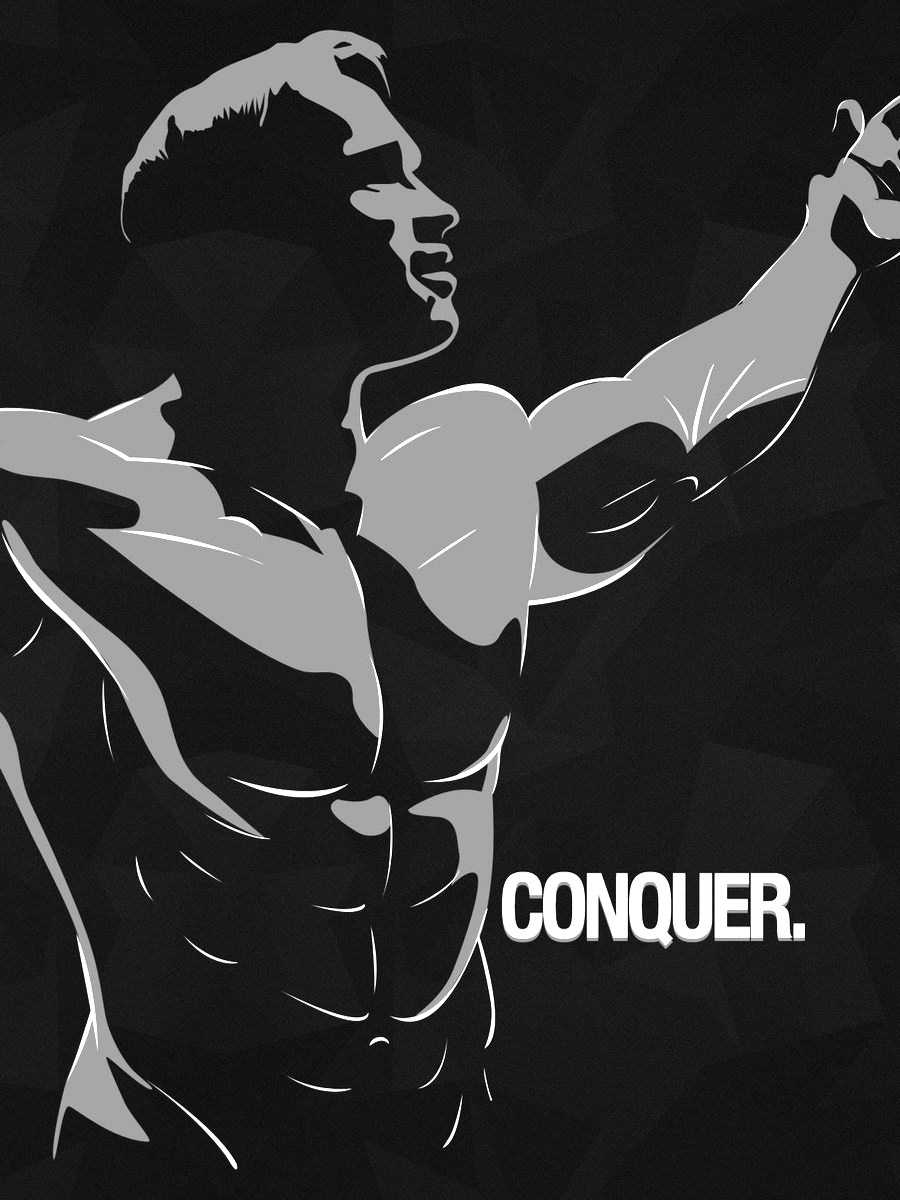 Arnold Conquer Wallpapers  Wallpaper Cave