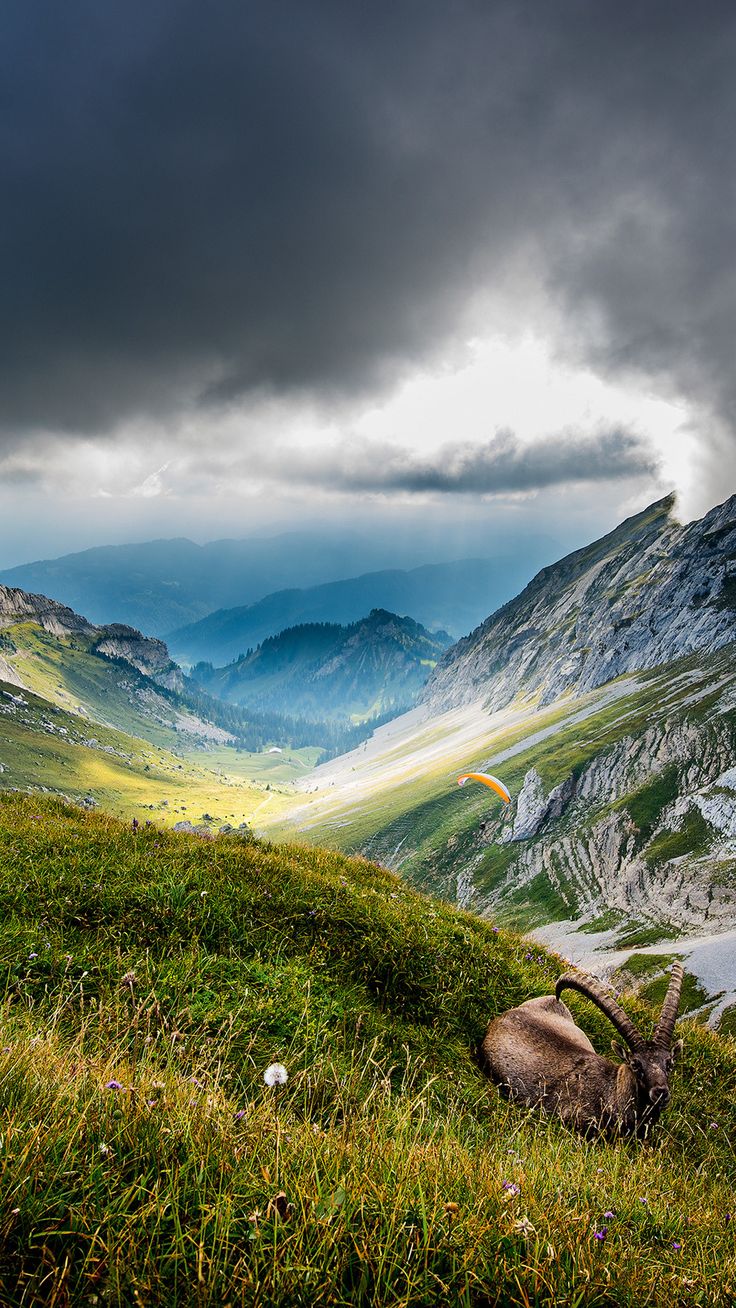 HD nature good looking wallpaper portrait. Ilustración de paisaje, Paisajes, Paisajes lindos