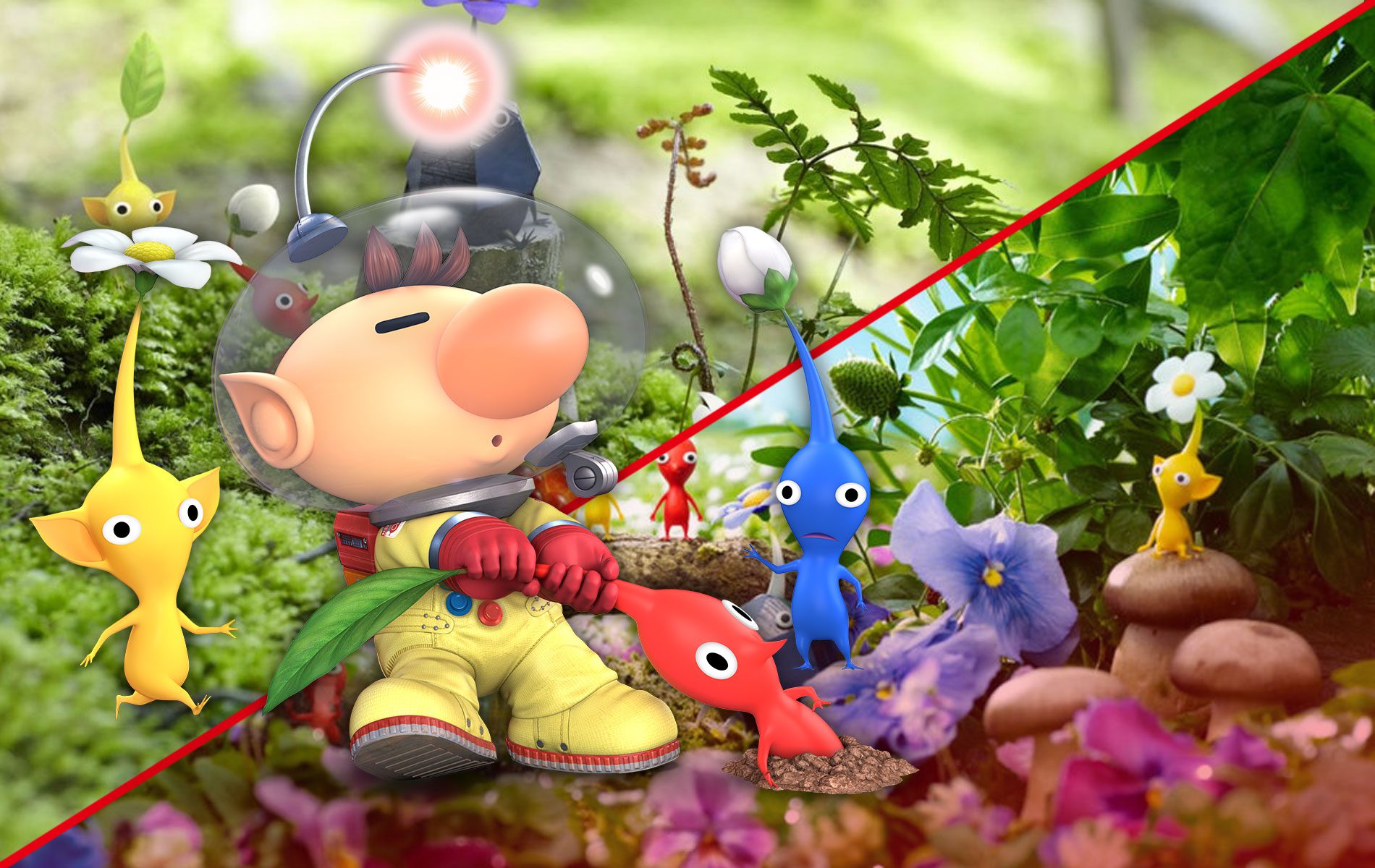A Brand New Pikmin Game Could Be Announced This Year