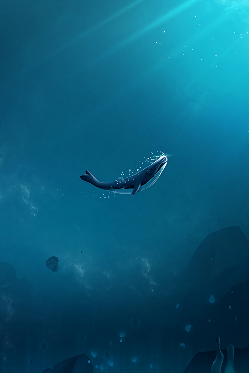 Wallpaper Whale, Ocean, Underwater World, Air Bubbles, Ocean Wallpaper iPhone